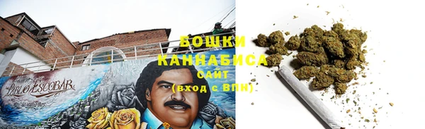 спиды Богданович