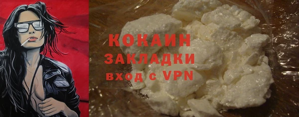 spice Богородск