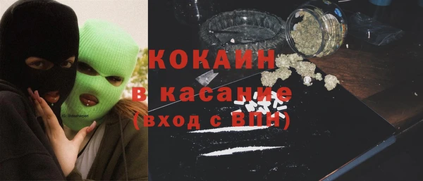 spice Богородск