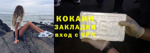 спиды Богданович