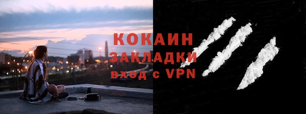 спиды Богданович