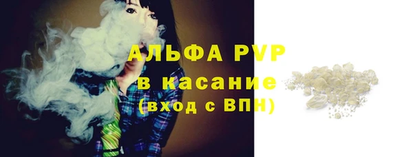 spice Богородск