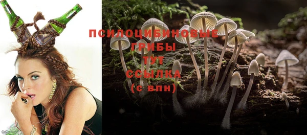 спиды Богданович