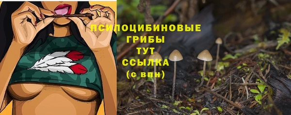 spice Богородск