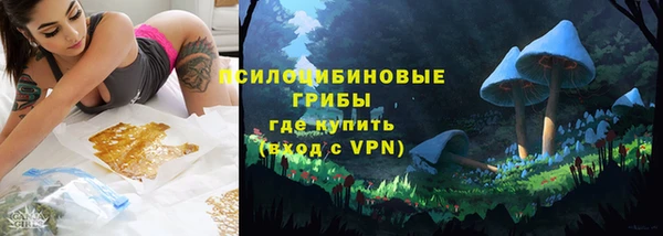 спиды Богданович
