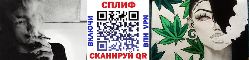 как найти   Балашиха  Шишки марихуана MAZAR 
